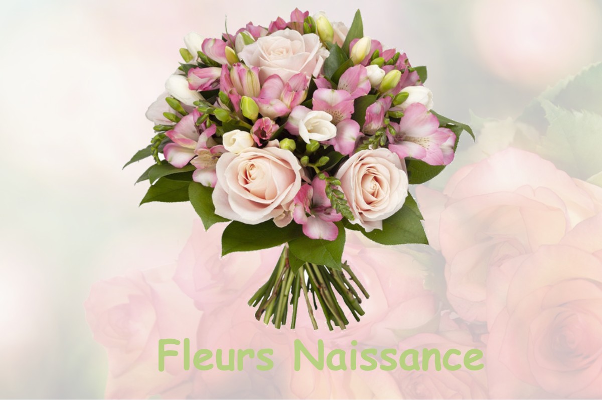 fleurs naissance LA-HAIE-TRAVERSAINE